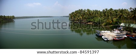 Coco trees reflection at back waters of Kerala, India