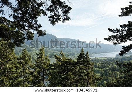 Scenic overlook of the Columbia River Gorge, Pacific Northwest, USA - an Oregon and Washington natural landscape and protected natural park preserve
