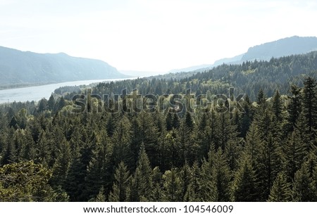 Scenic overlook of the Columbia River Gorge, Pacific Northwest, USA - an Oregon and Washington natural landscape and protected natural park preserve