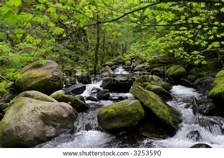 Mountain stream with boulders - Rocky rapids - a stream in a peaceful forested woodlands in the Pacific Northwest along a relaxing hiking trail - springtime foliage