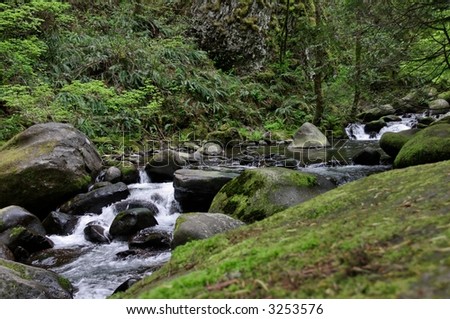 Rocky Mountain Stream - Rocky rapids - a stream in a peaceful forested woodlands in the Pacific Northwest along a relaxing hiking trail