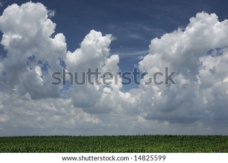 Puffy clouds in a big sky - rural setting