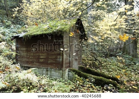 Old service shed along an old growth forest preserve in fall