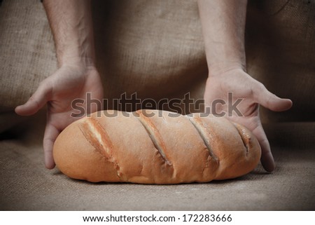 long loaf of bread with male hands