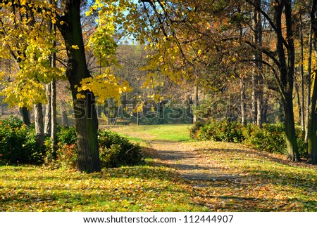 Walking path through  park in early autumn morning with fall color leaves