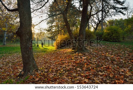 Autumn in park with fall leaves and people walking behind