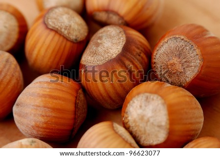 close up of hazelnut. nutrient fruit