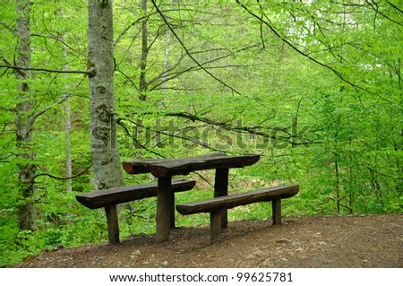Wooden bench by walking path in green forest