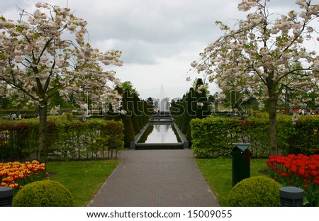 Netherland Tulip Garden