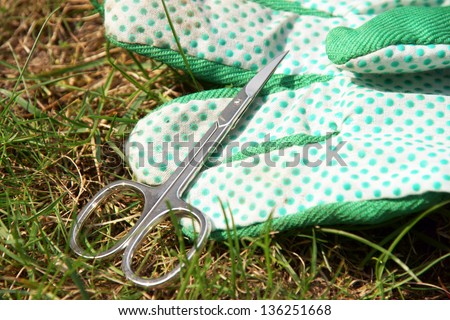 Lawn care with nail scissors / Lawn care