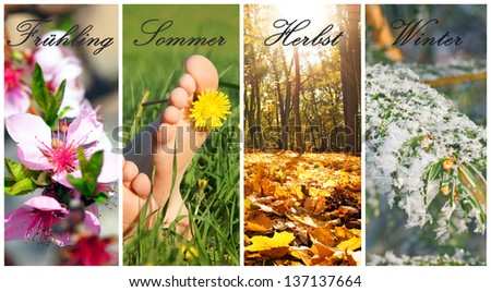 the four seasons with the german words Spring, Summer, Autumn and Winter / four seasons