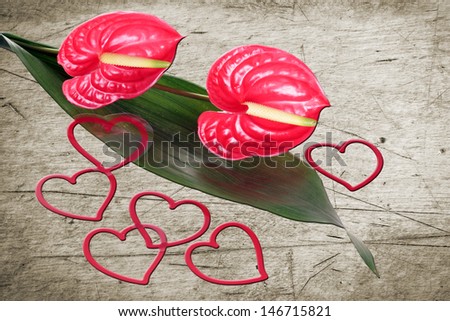 Flamingo flower with decorative hearts on wooden background / Love