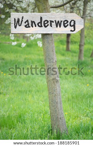 Wooden sign on a tree with the german words walking trail / walking trail