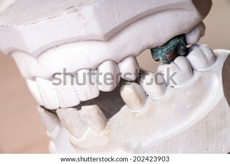 Model of a human teeth / dental health