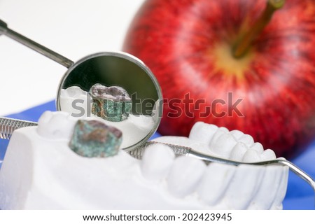 Apple and model of a human teeth / dental health