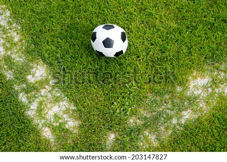 Football on grass / Football