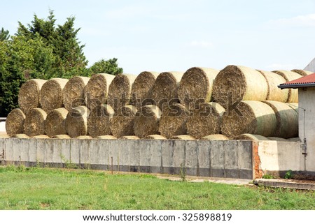 Many straw bales being stacked on a storage area / Straw Bales