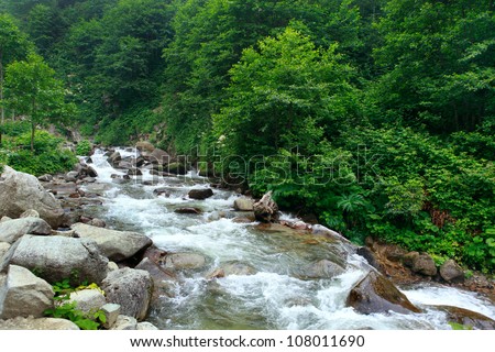 Ayder Plateau with an elevation of 1350m along the Black Sea in Turkey. The Ayder Valley lies between Rize and Artvin and is located at the point where the Firtina (Storm) River meets the Black Sea.