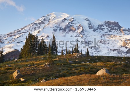 Mount Rainier as seen in early evening light from the Paradise Area as a meadow undergoes color change in Autumn; Mount Rainier National Park, Washington State