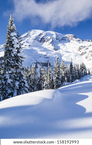Mount Rainier In Winter; Mount Rainier National Park, Washington State