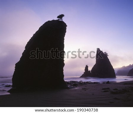 Fog begins to roll in off the Pacific ocean at sunset; Rialto Beach, Olympic National Park, Washington State