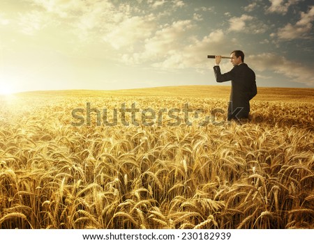 Young businessman with the spyglass in the wheat field searching for the new opportunities