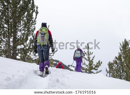 group of snowshoe hikers climbing up the side of a snowy mountain