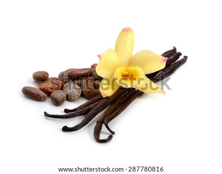 Pods of vanilla and cocoa beans with one yellow orchid. Isolated on white background.