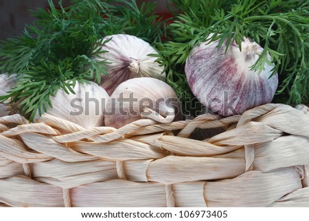 Garlic packed in a basket with dill. I hope you find this image useful, and if you download it, thank you for your support!