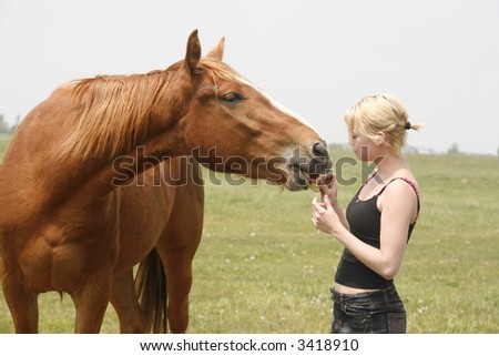 angel feeding horse apples