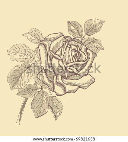 stock vector Hand drawing rose card vector version eps 10 