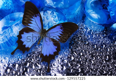 blue stone and Blue Mountain Butterfly