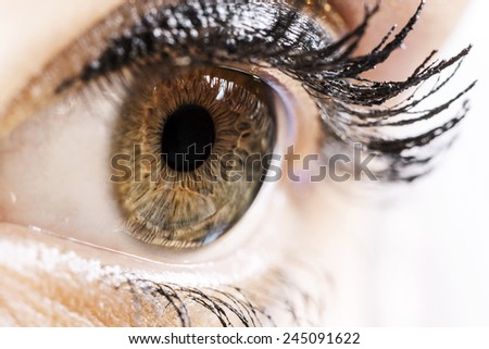 Woman eye macro shot.