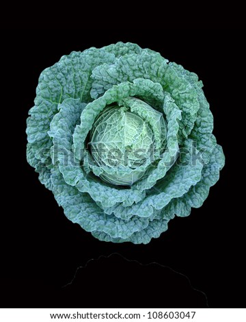 cabbages vegetables isolated on black background