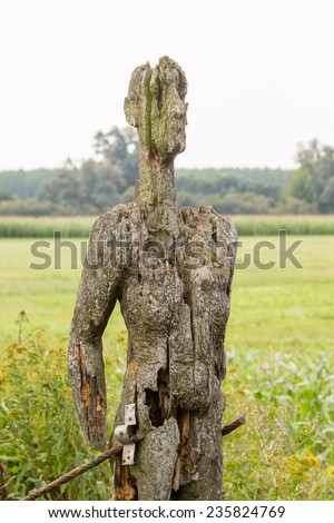 Wooden Statue along the 