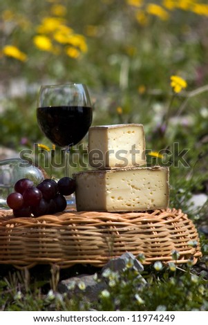 sheese and wine in a vine