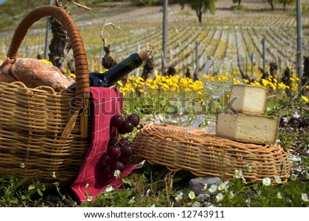 Basket of picnic in vines