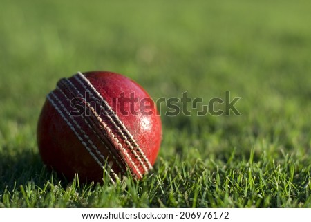 Close up of a side lit red cricket ball on the green grass of a sports field, with copyspace