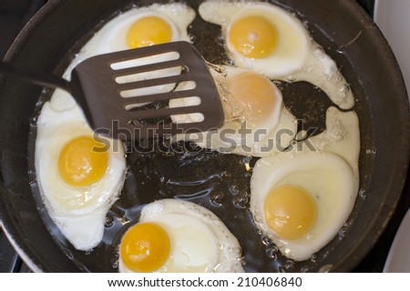 Cooking fried eggs with a close up view from above of a batch of partially cooked fried eggs sizzling in a frying pan over the heat