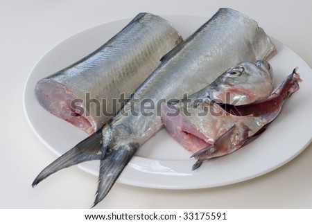 a fresh ribbon fish on a plate, cut into three pieces ready for filleting