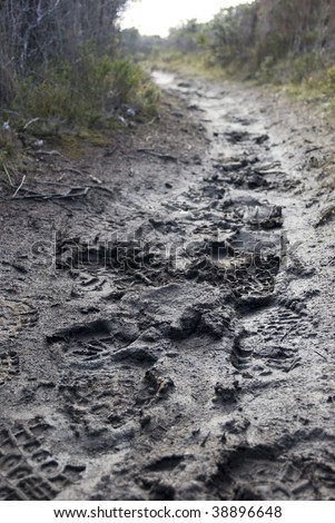 foot prints in the mud on a walking trail
