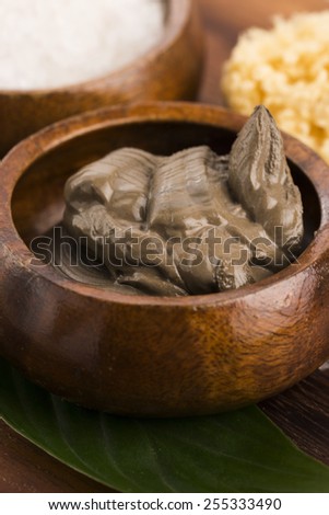 Dead Sea mud and salt in a bowl