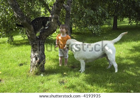 summer scenic. cat, dog, tree and sweet girl