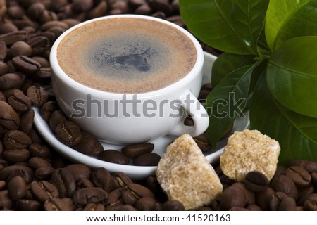 fresh coffee with coffee branch