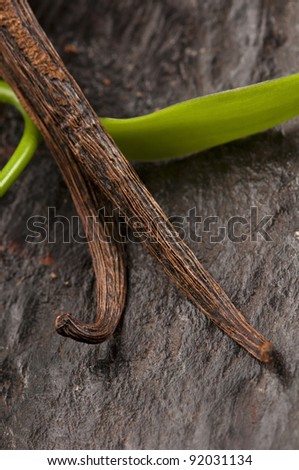 Vanilla Planifolia Vine and Dried Vanilla Pods