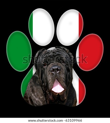 Mastino Napolitano, Dog portrait with a background of Italy flag in paw print