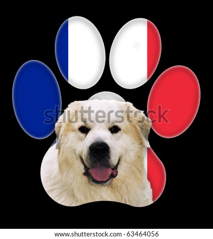 great pyrenees paws