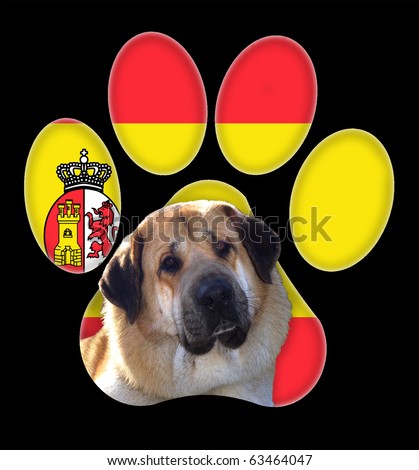 Spanish Mastiff dog portrait with a background of Spain flag in paw print