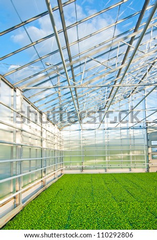 green house interior with plants