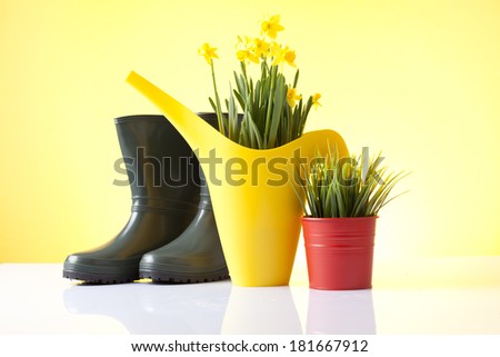 spring gardening